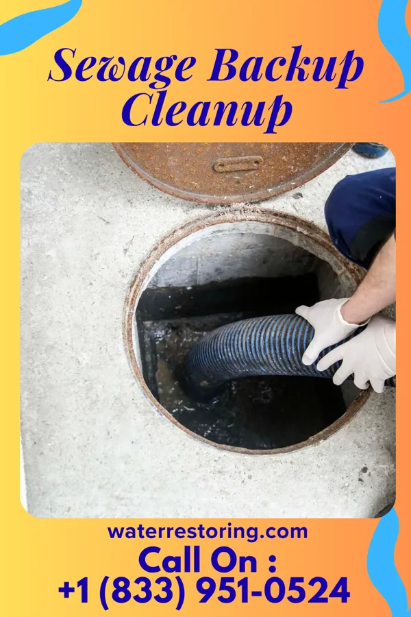Sewage Backup Cleanup in Sully, IA